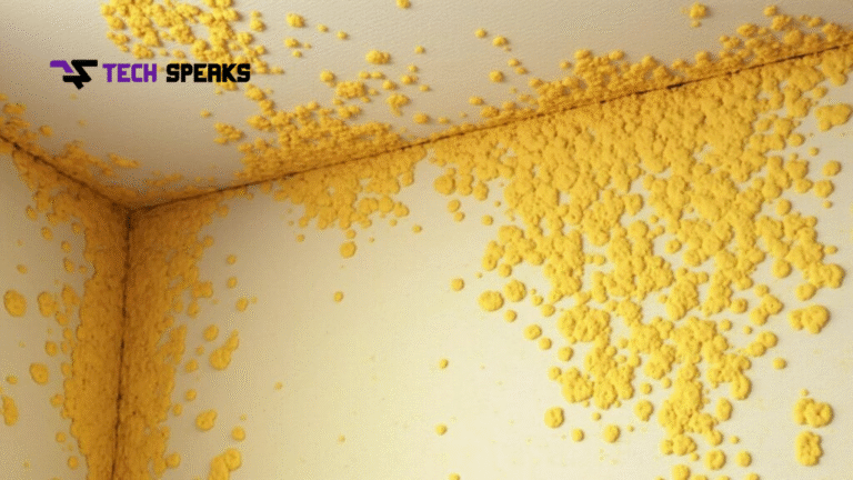 yellow mold