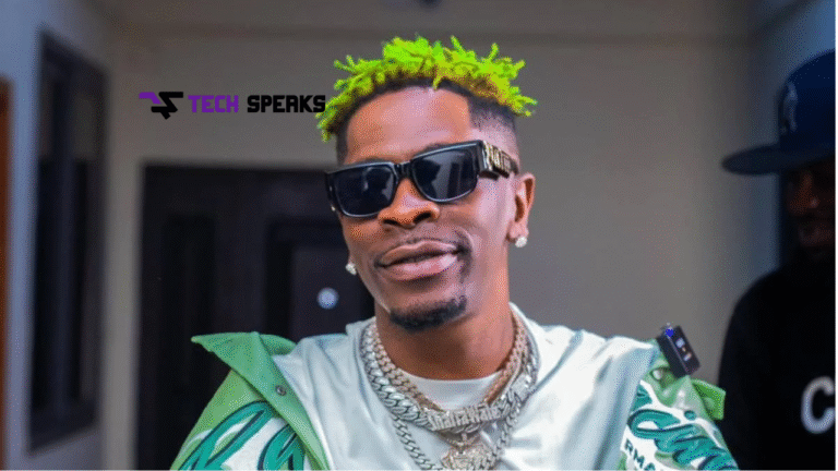 "shatta wale"