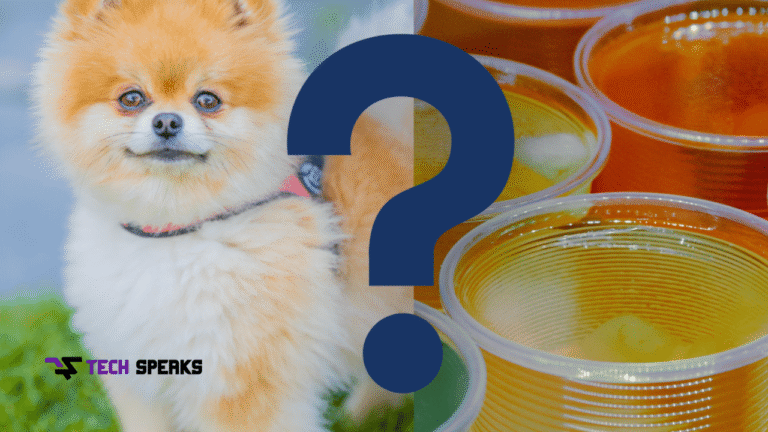can dogs eat jello