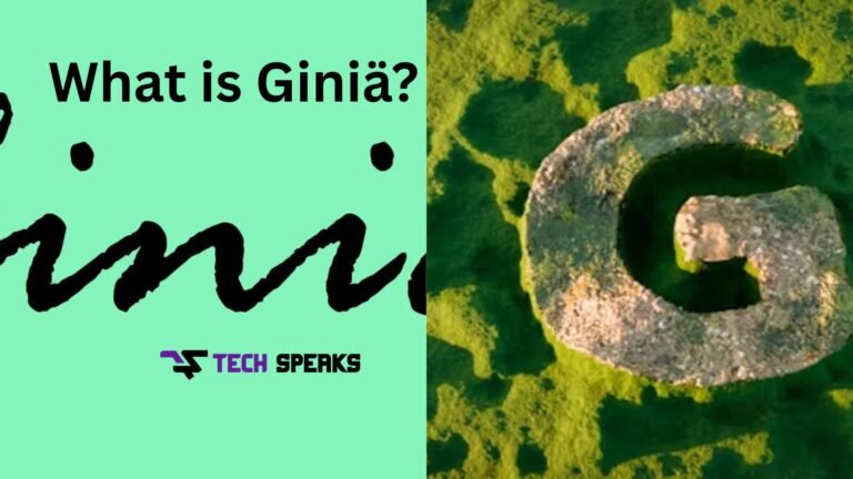 giniä